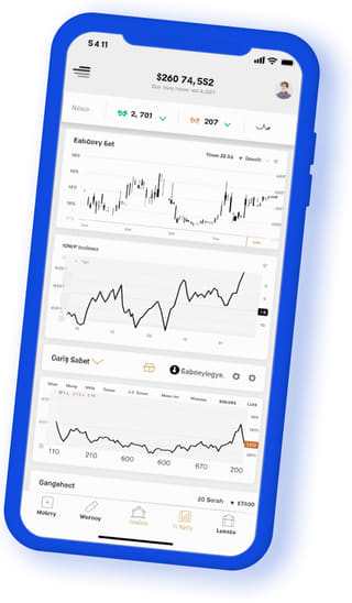 Nova Coinics digital web application on mobile device